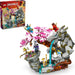 LEGO® NINJAGO®: Dragon Stone Shrine