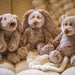 Luxey Loves Teddy - 10"