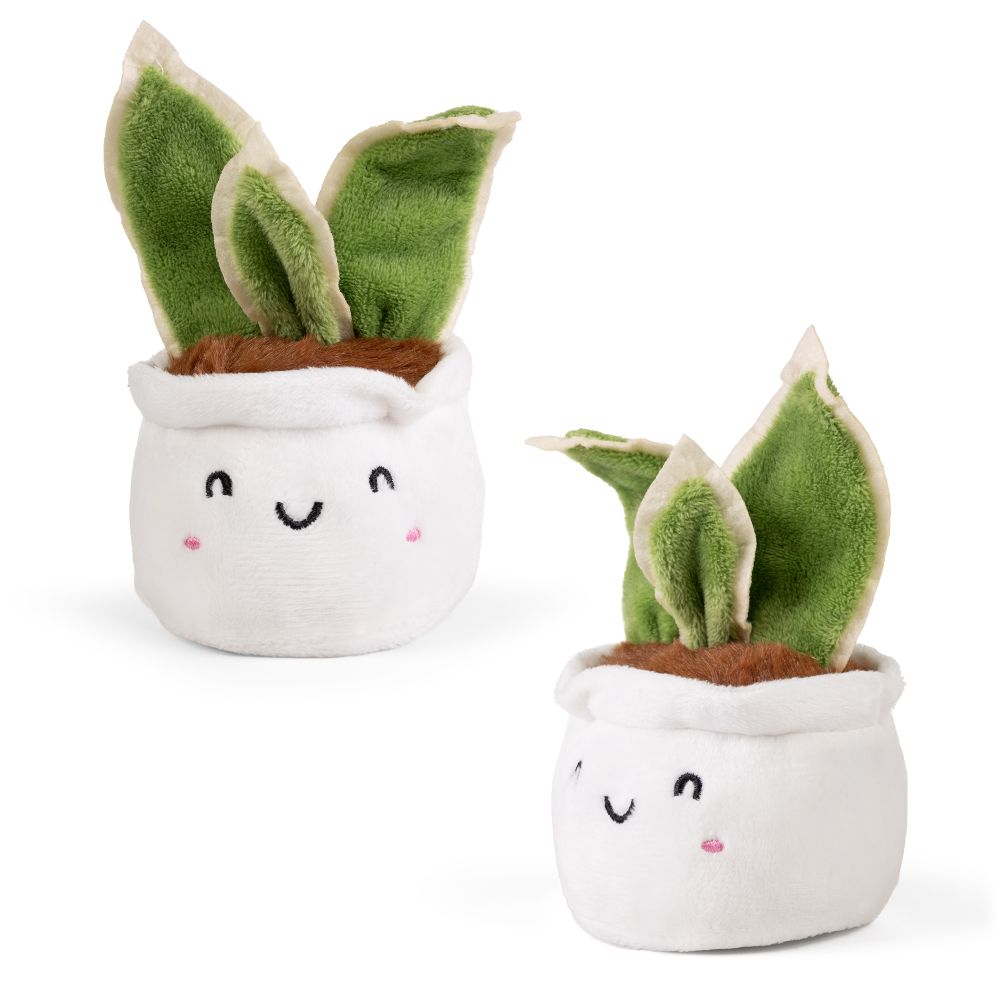 Little Greens Cute Plants