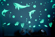 GLOPLAY (Sea Animals)