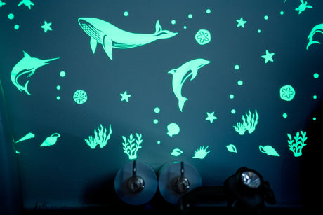 GLOPLAY (Sea Animals)