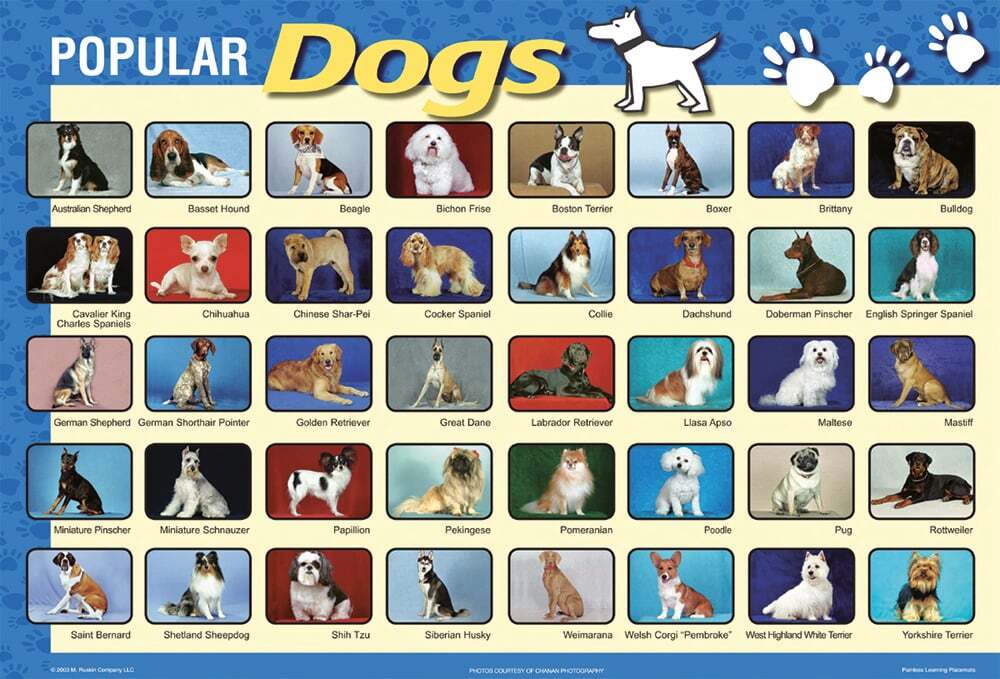 DOGS PLACEMAT — Boing! Toy Shop