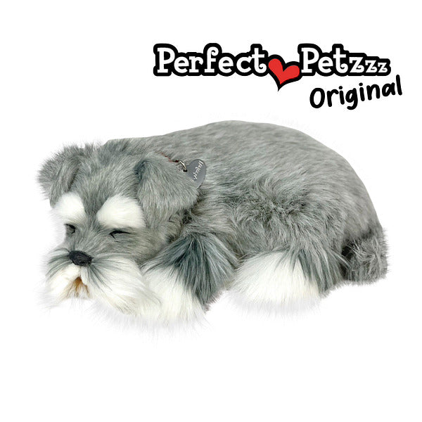 Perfect Petzzz Schnauzer