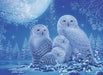 Glow in the Dark: Owls in the Moonlight Puzzle (500 pc)