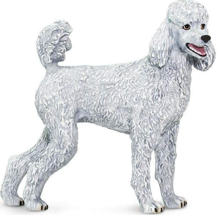 Poodle Toy