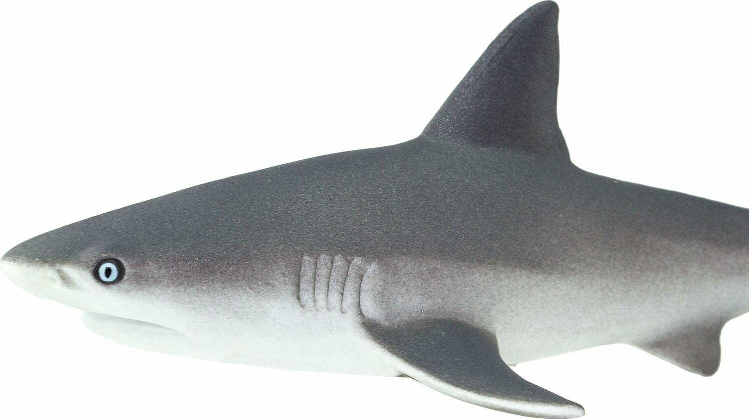 Gray Reef Shark Toy