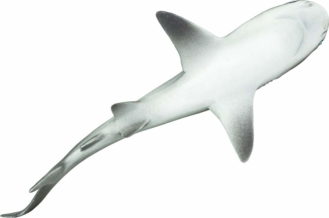 Gray Reef Shark Toy