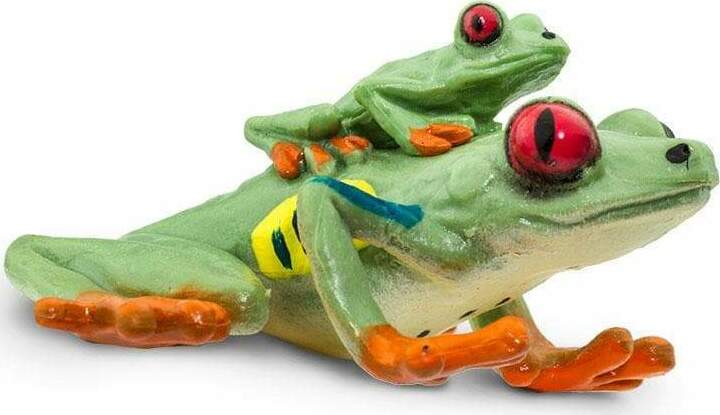 Red-eyed Tree Frog Toy