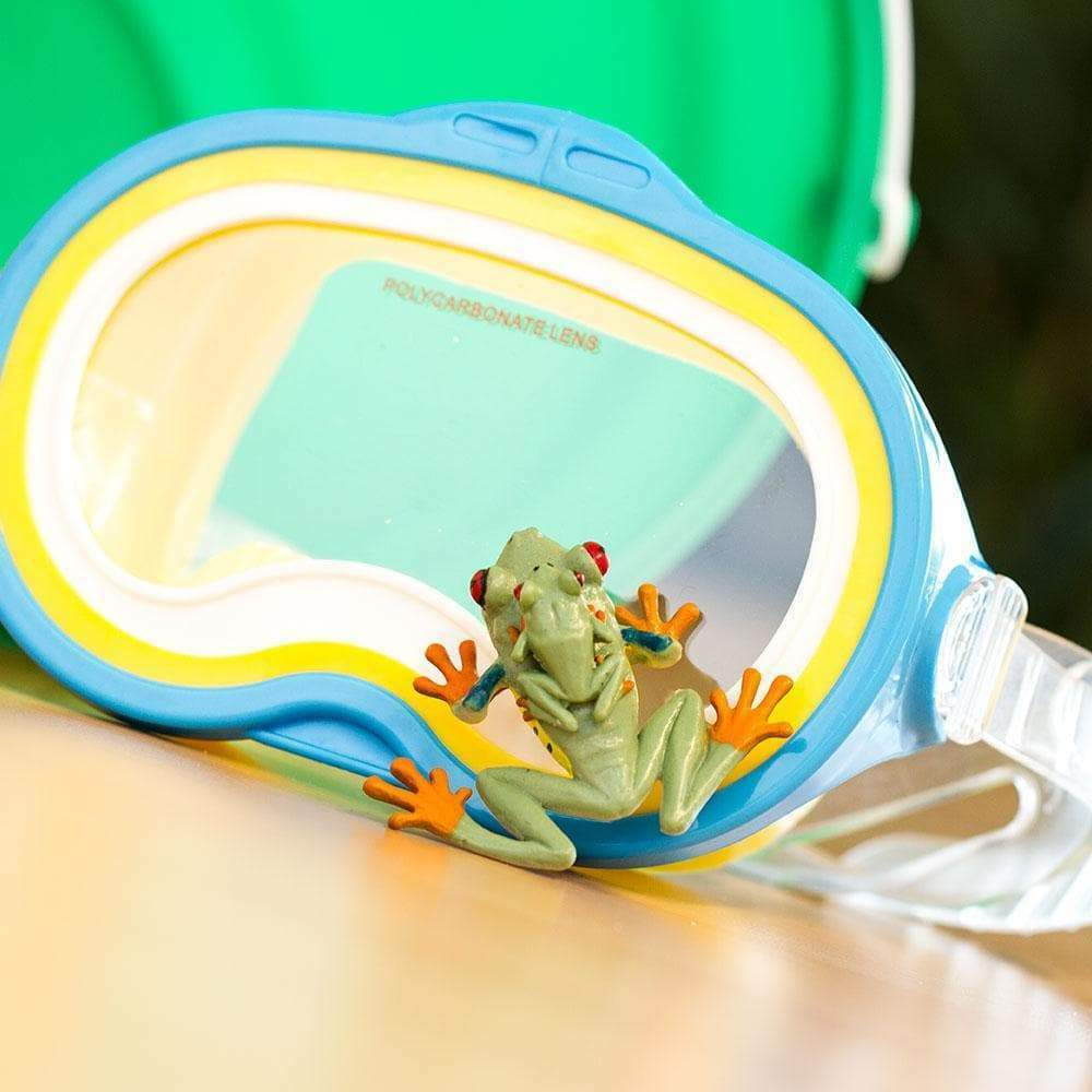 Red-eyed Tree Frog Toy