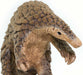 Pangolin Toy