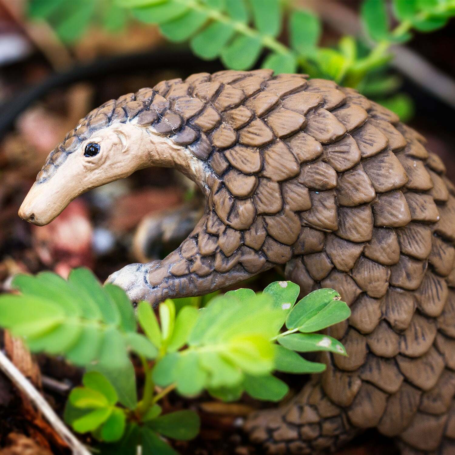 Pangolin Toy