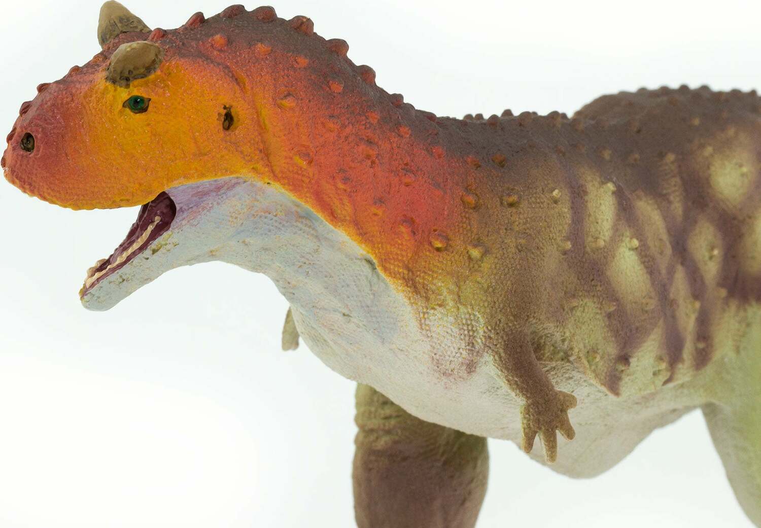 Carnotaurus Toy