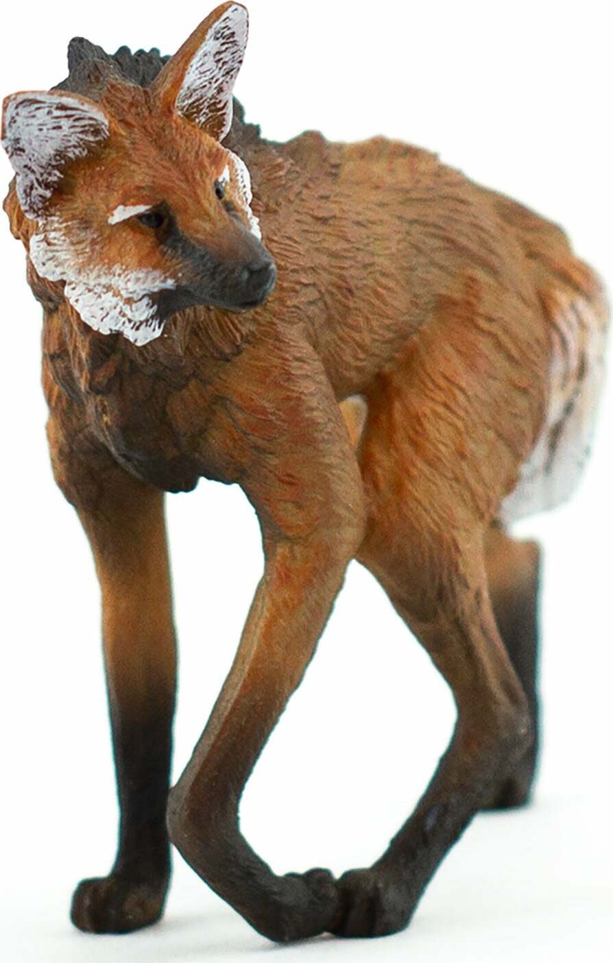 Maned Wolf