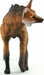 Maned Wolf