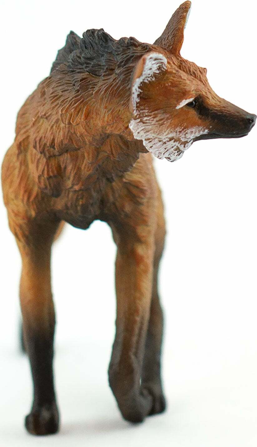 Maned Wolf