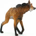 Maned Wolf