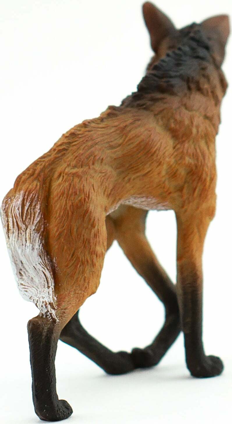 Maned Wolf