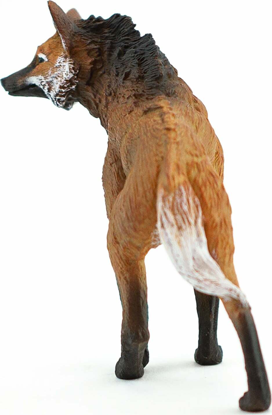 Maned Wolf