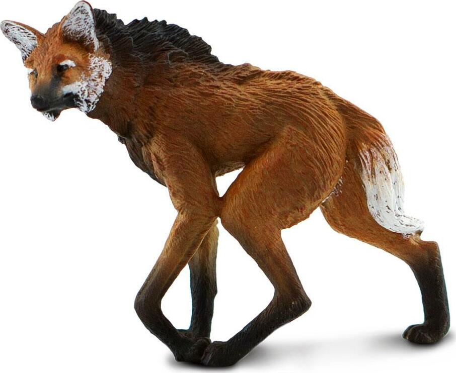 Maned Wolf