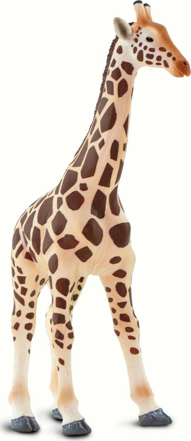 Giraffe Toy