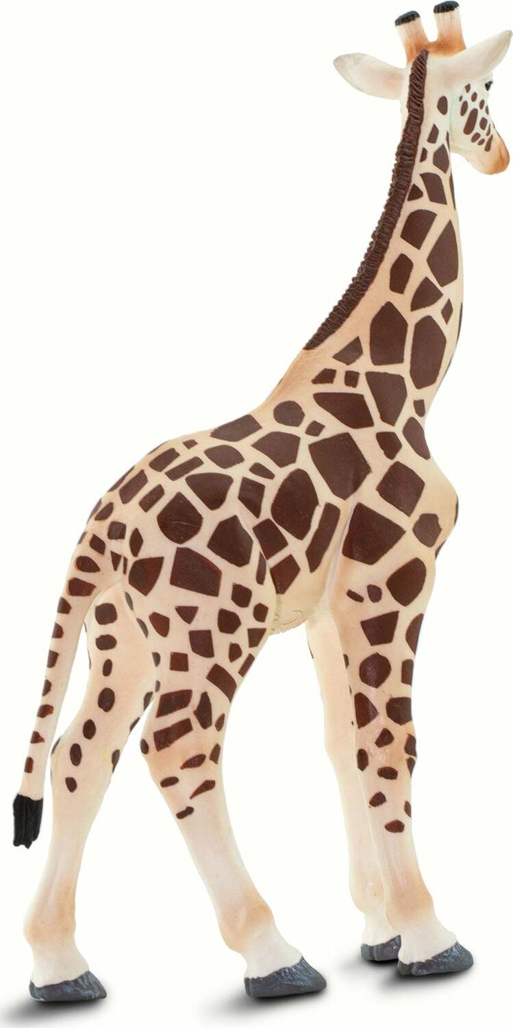 Giraffe Toy