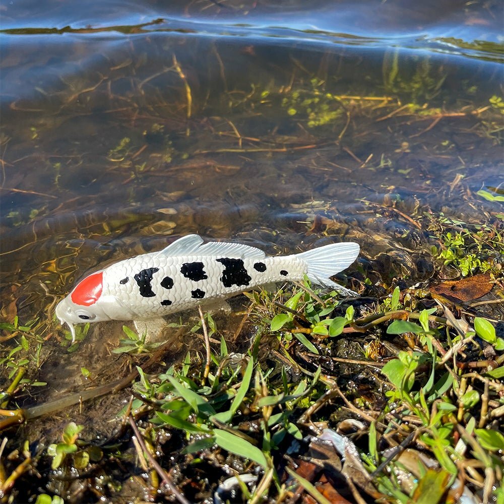 Koi Fish - Tancho Toy