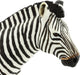 Zebra Toy