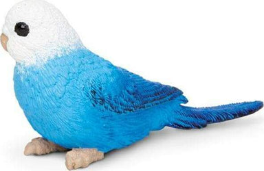 Blue Budgie Toy