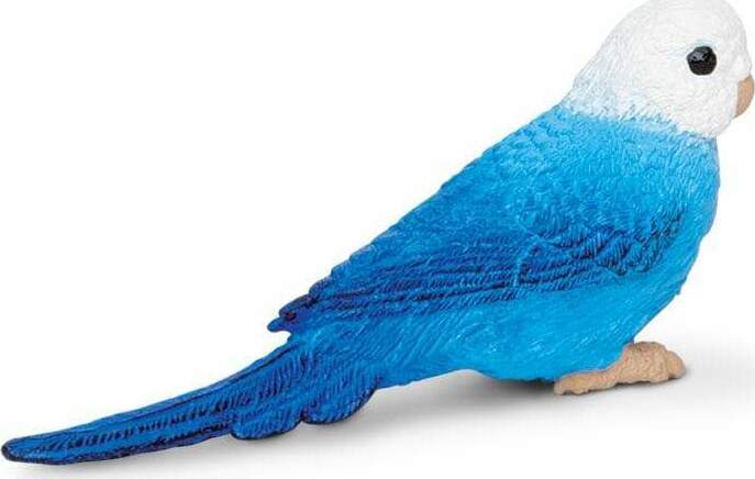 Blue Budgie Toy