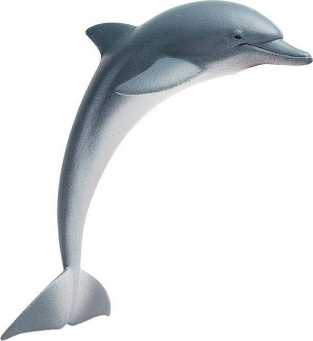 Dolphin Toy