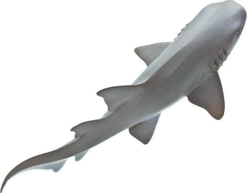 Nurse Shark Toy