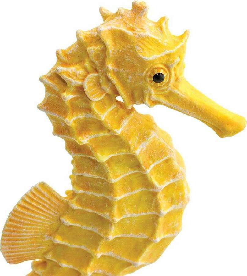 Seahorse Toy