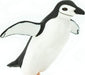 Chinstrap Penguin Toy