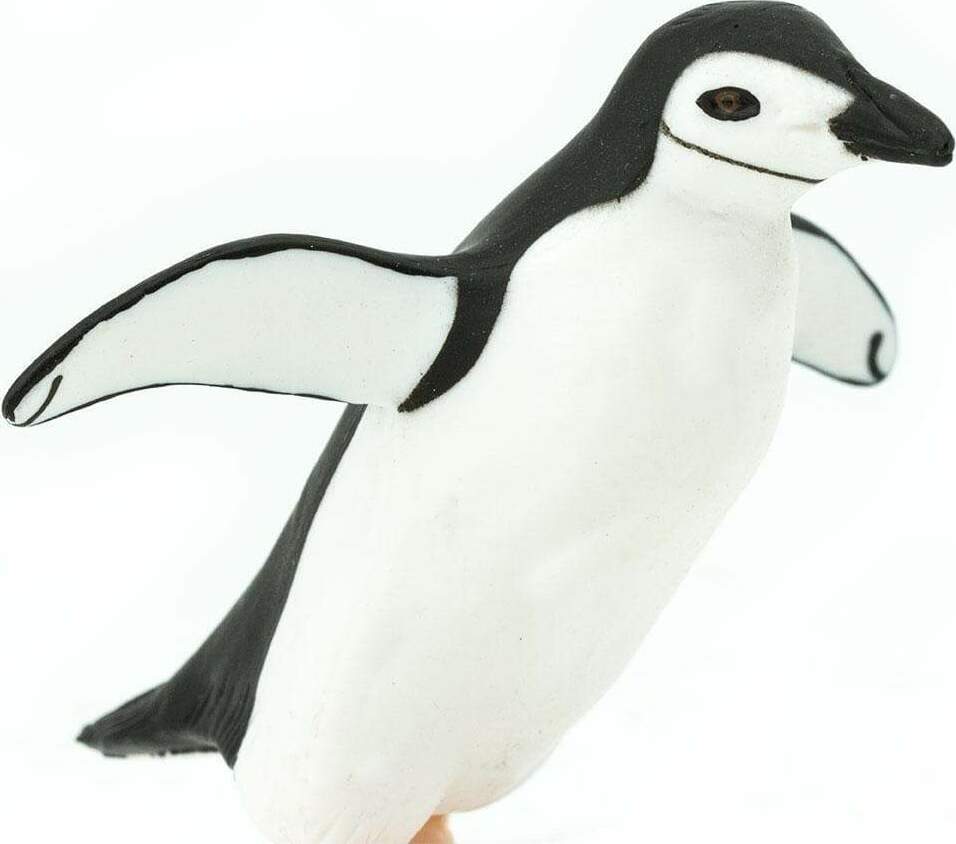 Chinstrap Penguin Toy