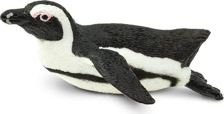 South African Penguin Toy