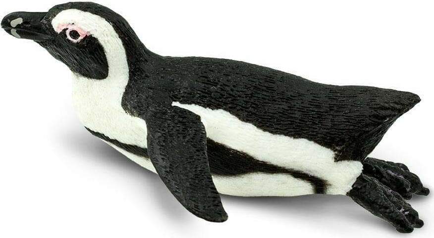 South African Penguin Toy