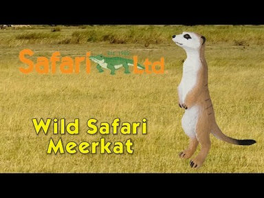 Meerkat Toy