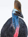 Cassowary Toy