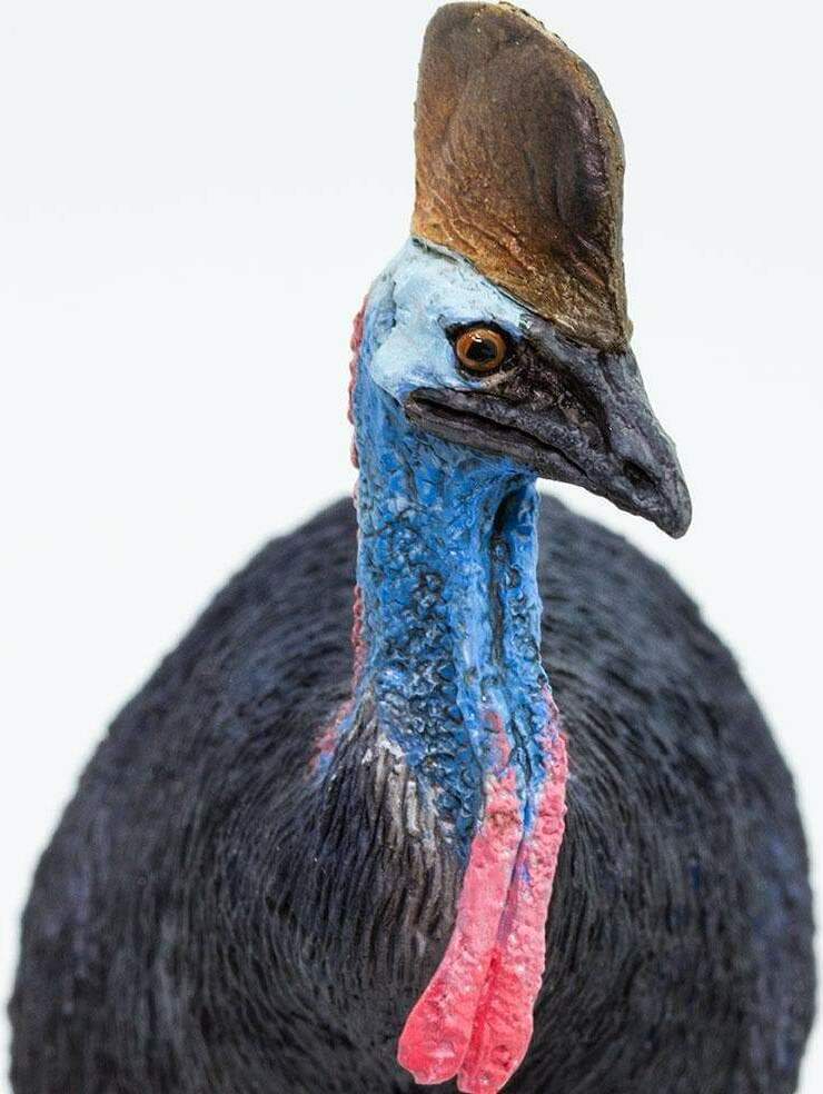 Cassowary Toy