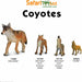 Coyote Toy