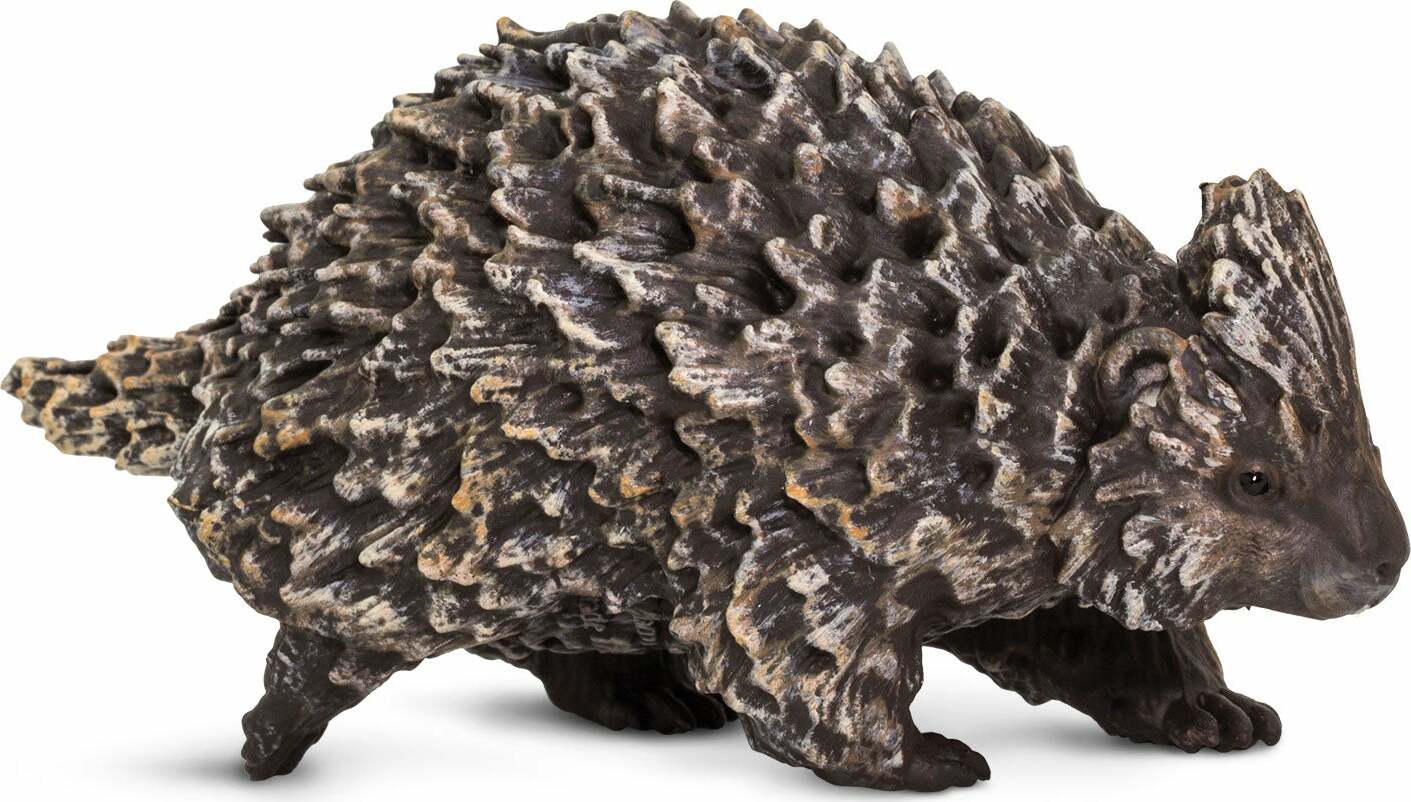 Porcupine Toy