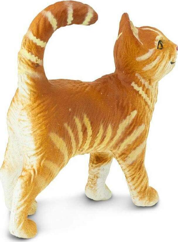 Tabby Cat Toy