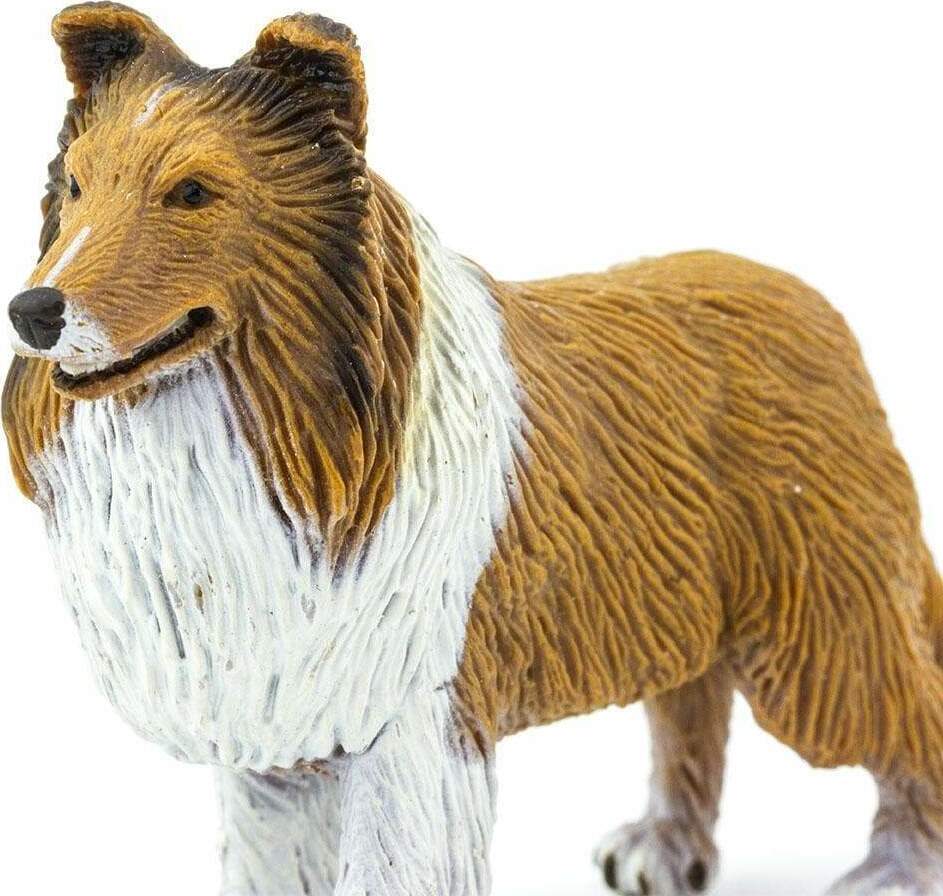 Collie Toy