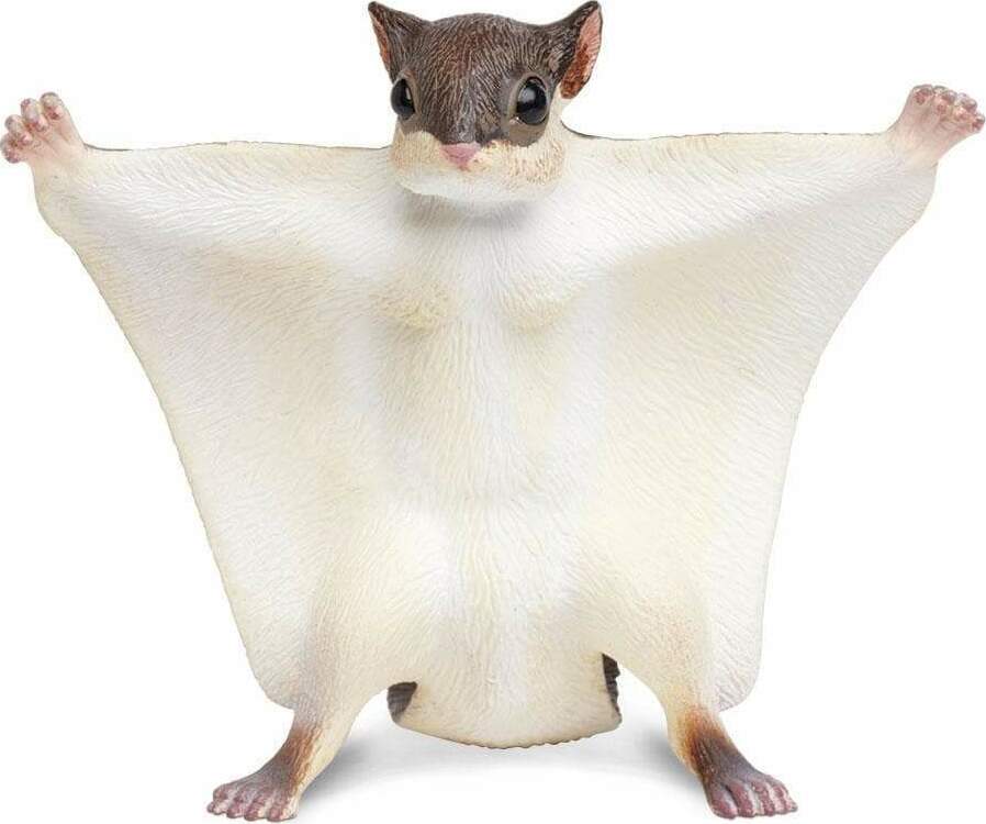 Flying Squirrel Toy