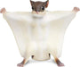 Flying Squirrel Toy