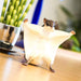 Flying Squirrel Toy