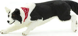 Border Collie Toy