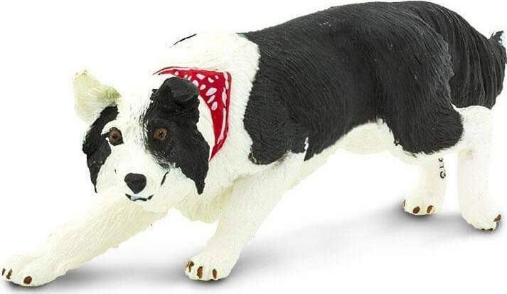 Border Collie Toy