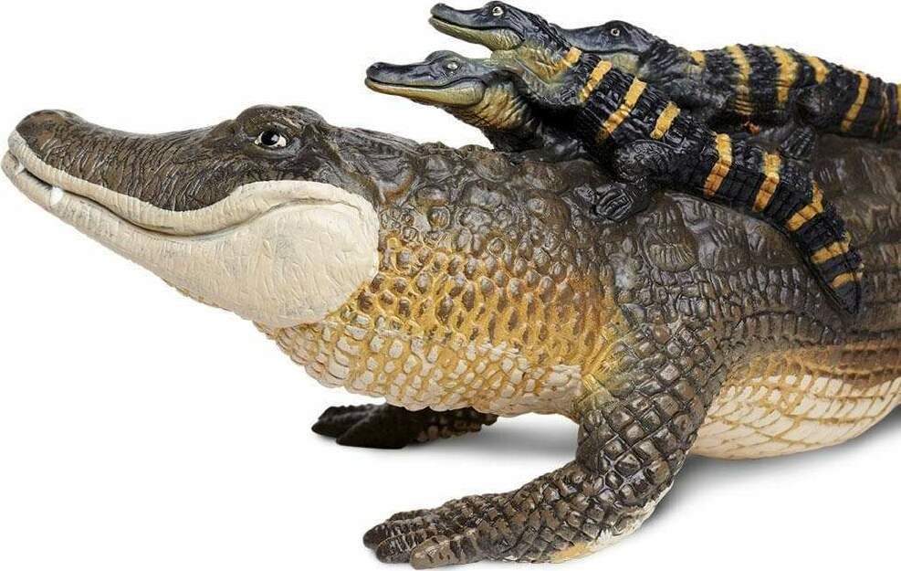 Alligator with Babies Toy