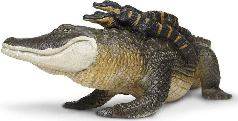 Alligator with Babies Toy